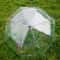 Automatic Transparent Folding Umbrella Lightweight Sun And Rain Protection 6