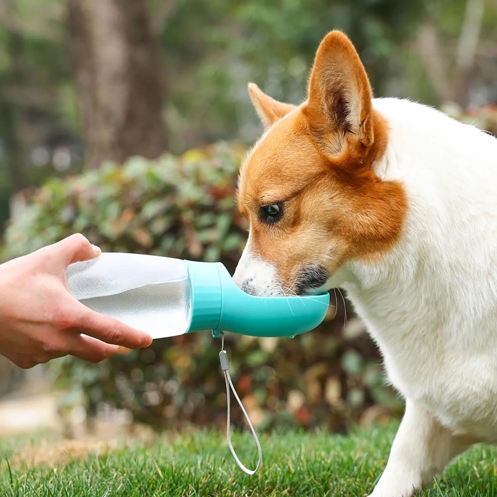 Portable Pet Water Bottle Leakproof Travel Drinking Cup For Dogs And Cats 10