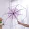 Cherry Blossom Transparent Trifold Umbrella Cute Korean Style Rain Umbrella 3