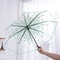 Cherry Blossom Transparent Trifold Umbrella Cute Korean Style Rain Umbrella 4