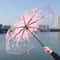Cherry Blossom Transparent Trifold Umbrella Cute Korean Style Rain Umbrella 1