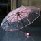 Cherry Blossom Transparent Trifold Umbrella Cute Korean Style Rain Umbrella 0