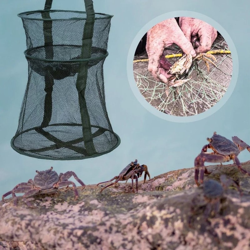 Foldable Mesh Fishing Cage Round Fish Net Basket For Small Fish 4