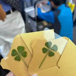 lucky four leaf clover transparent wishing cards for bookmarks and decor