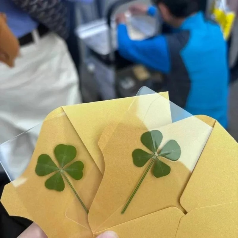 Lucky Four Leaf Clover Transparent Wishing Cards For Bookmarks And Decor 0