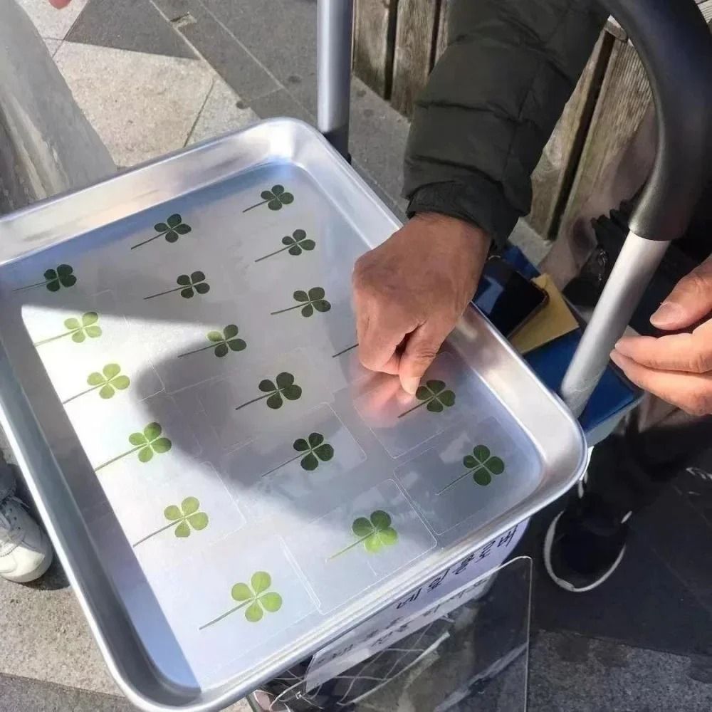 Lucky Four Leaf Clover Transparent Wishing Cards For Bookmarks And Decor 7