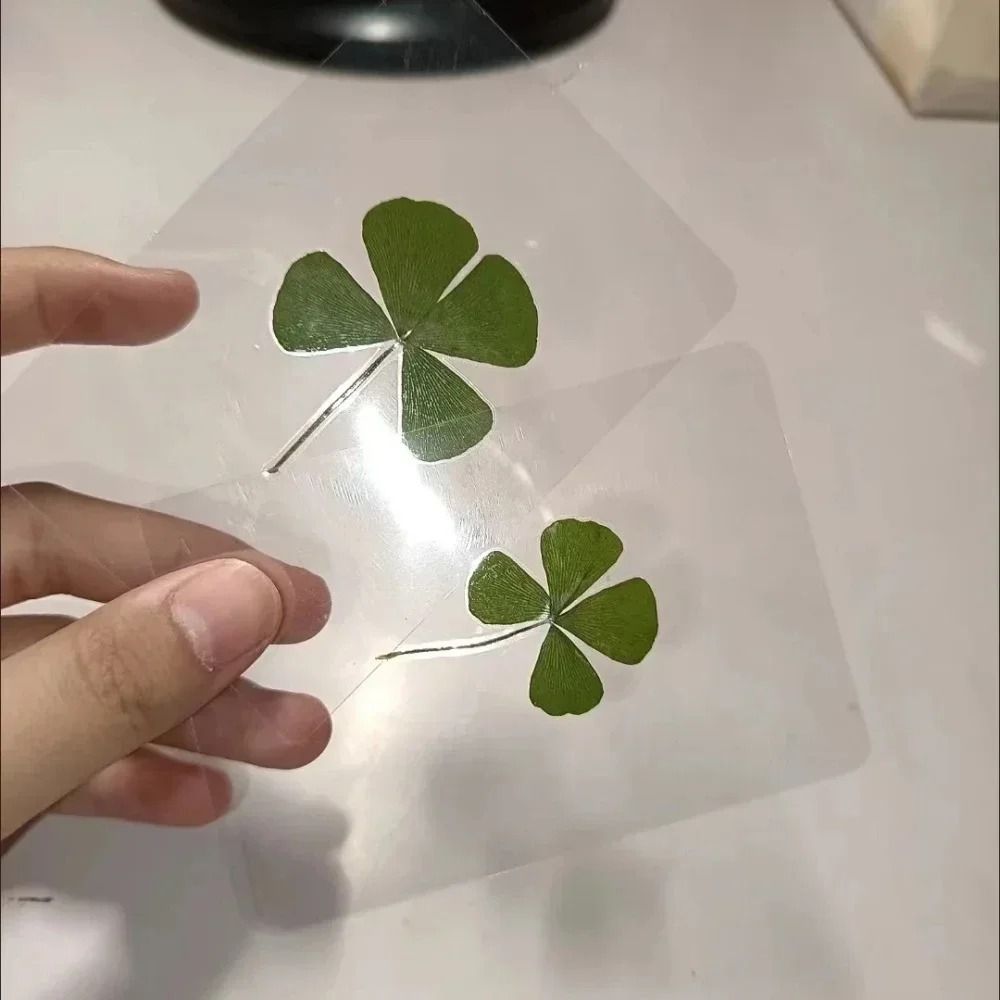 Lucky Four Leaf Clover Transparent Wishing Cards For Bookmarks And Decor 8