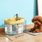 Automatic Pet Feeder And Waterer Set With Anti Slip Base And Filter 6