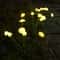 Solar Jellyfish Garden Lights Waterproof Outdoor Decorative Pathway Lights 6