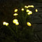 Solar Jellyfish Garden Lights Waterproof Outdoor Decorative Pathway Lights 6