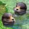 Floating Otter Garden Ornament Resin Pond Decoration For Fish Tanks 7