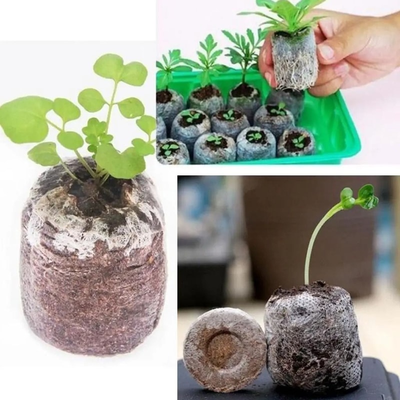 Seed Starting Peat Pellets Soil Blocks For Garden Seedlings 10 Pack 5