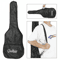 Student Adult Guitar Starter Kit 3