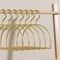 Gold Metal Scarf Hanger Organizer Half Round Multi Purpose Closet Hangers Set Of 5 6