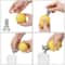 Stainless Steel Manual Citrus Juicer Handheld Lemon And Orange Squeezer 5