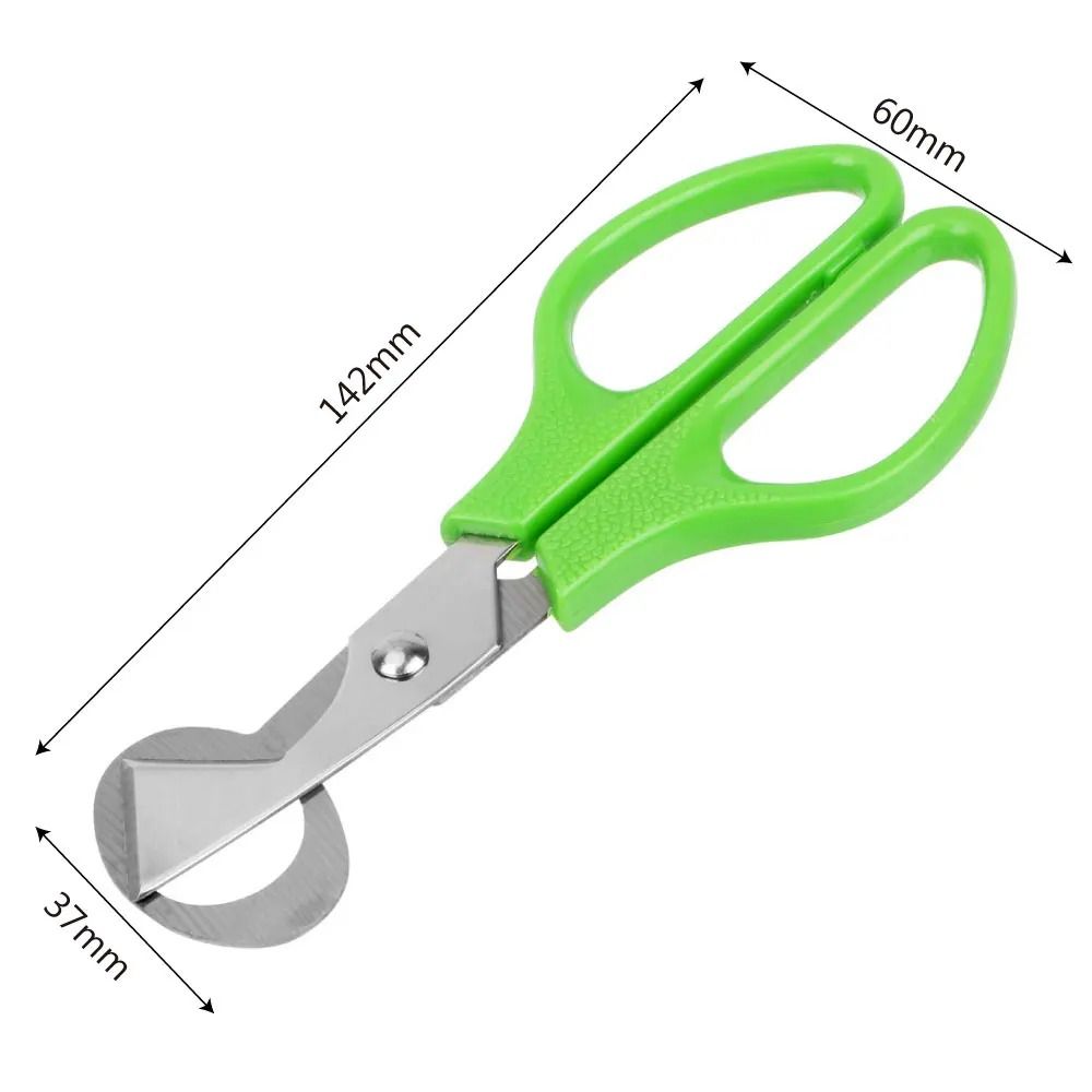Stainless Steel Quail Egg Scissors Durable Egg Shell Cutter Tool 4