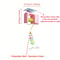 Electric Interactive Cat Toy Automatic Flying Bird Teaser With Elastic Rope 6