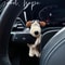 Cute Plush Puppy Car Wiper Lever Decor Interior Accessory 2