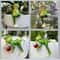 Cute Frog Garden Ornament Cartoon Flower Pot Edge Decoration Figurine 0