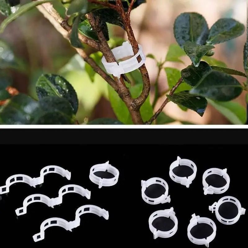 Reusable Plant Support Clips Garden Vine Fixing Clips For Trellis And Stakes 9