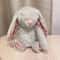 Cute Rabbit Plush Doll Soft Bunny Plush Toy With Long Ears 5