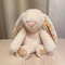 Cute Rabbit Plush Doll Soft Bunny Plush Toy With Long Ears 1