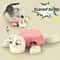 Interactive Spring Turtle Cat Toy No Battery Desktop Pet Toy 2