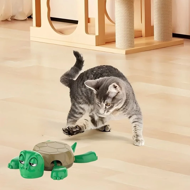 Interactive Spring Turtle Cat Toy No Battery Desktop Pet Toy 5