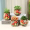 Cute Mushroom Ceramic Succulent Flowerpot Decorative Plant Pot 0