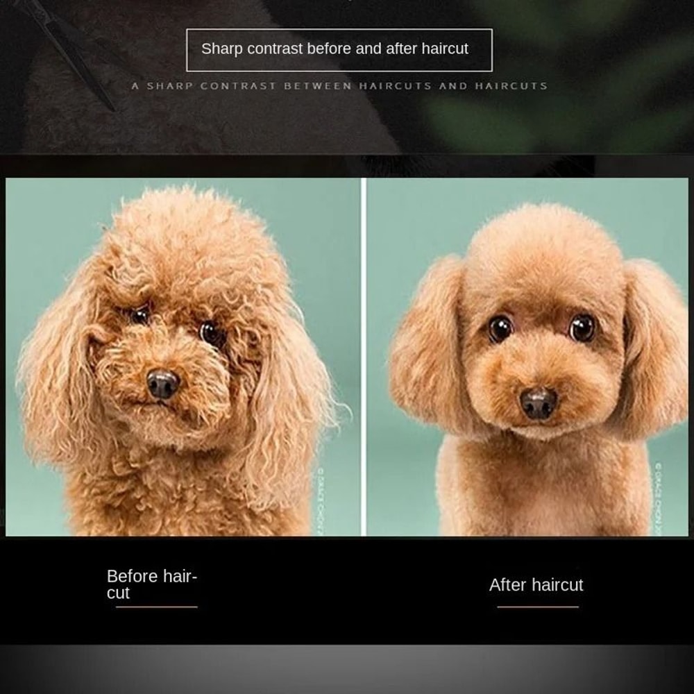 Professional Pet Grooming Scissors Set For Dogs And Cats 17