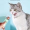 Cat Treat Feeder Spoon Lickable Wet Cat Treat Squeeze Tool 6