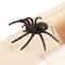 Wooden Spider Prank Box Funny Scare Trick Gift Toy 6