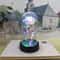 Eternal LED Rose Light Artificial Flower Romantic Gift Decoration 13