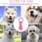 Rubber Dog Chew Toy Pacifier Teeth Cleaning Interactive Pet Toy 4