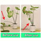 Green Turtle Back Plant Support Stakes Plastic Vertical Climbing Plant Support For Indoor And Outdo 3