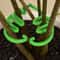 Green Turtle Back Plant Support Stakes Plastic Vertical Climbing Plant Support For Indoor And Outdo 4