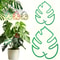 Green Turtle Back Plant Support Stakes Plastic Vertical Climbing Plant Support For Indoor And Outdo 0