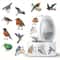 Waterproof Bird Sticker Set For Scrapbooking Journals And Gifts 500pcs 3