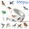 Waterproof Bird Sticker Set For Scrapbooking Journals And Gifts 500pcs 4