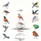Waterproof Bird Sticker Set For Scrapbooking Journals And Gifts 500pcs 5