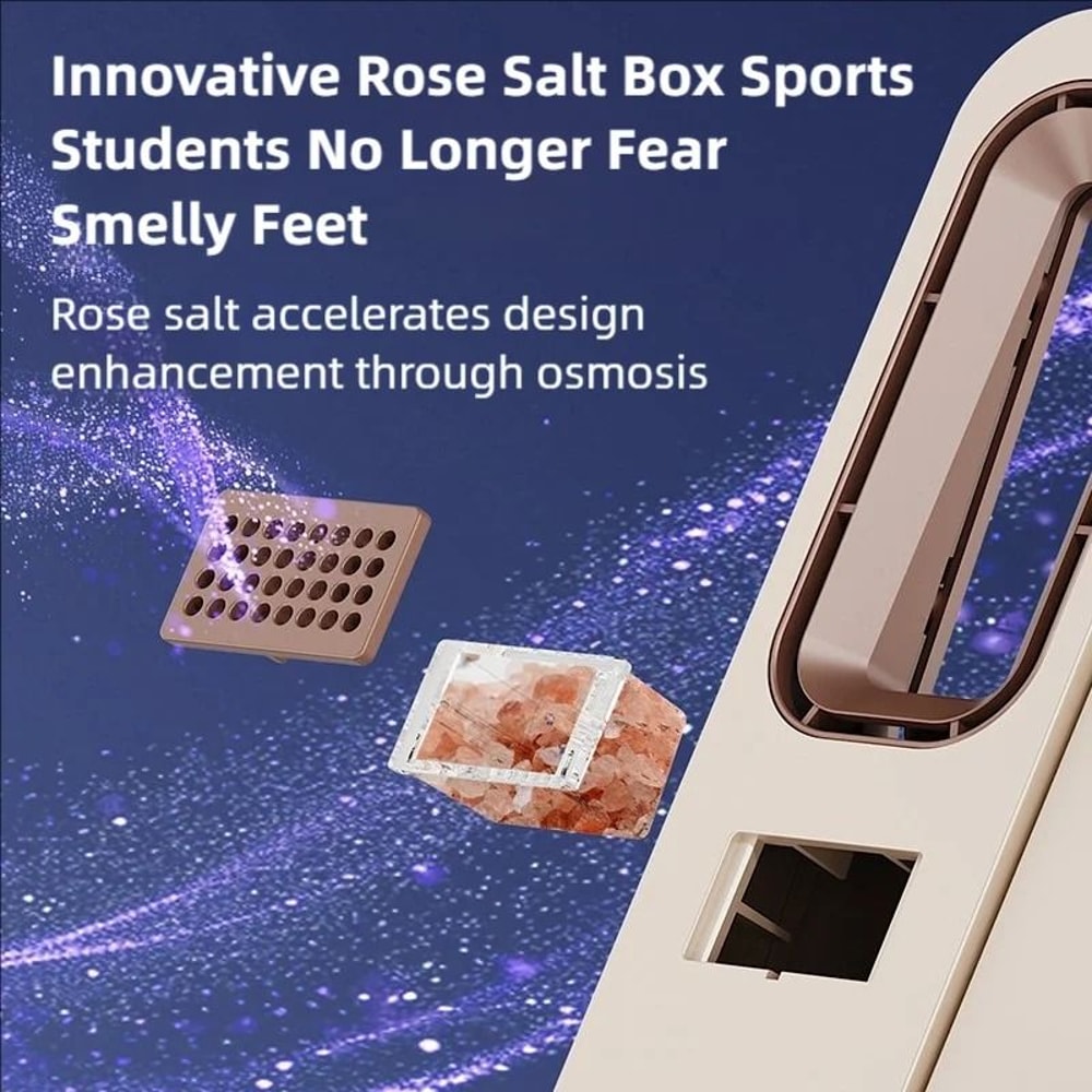 TINSOL Wall Mounted Shoe Dryer Smart Boot Dryer With Deodorizing Sterilization 2