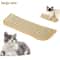 Catnip Chew Pillow Teeth Cleaning Cat Toy 2