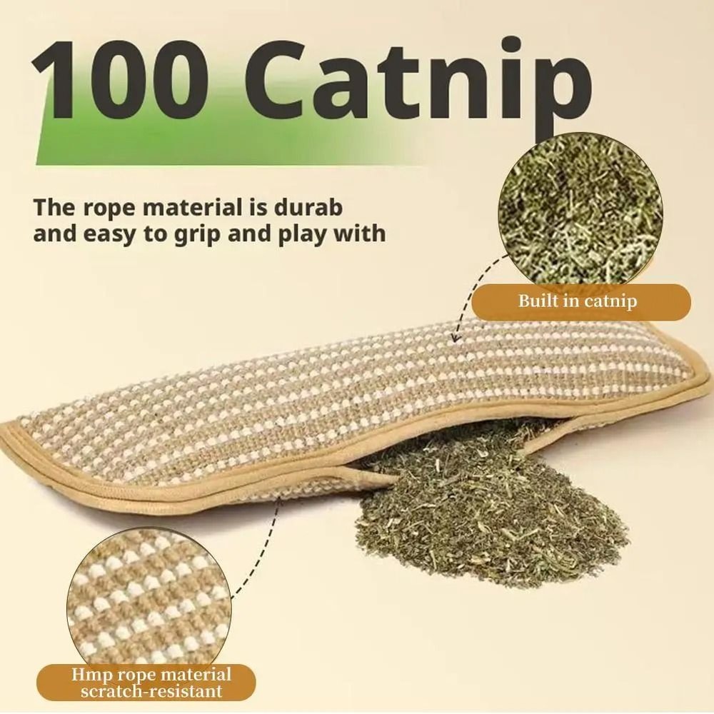 Catnip Chew Pillow Teeth Cleaning Cat Toy 4