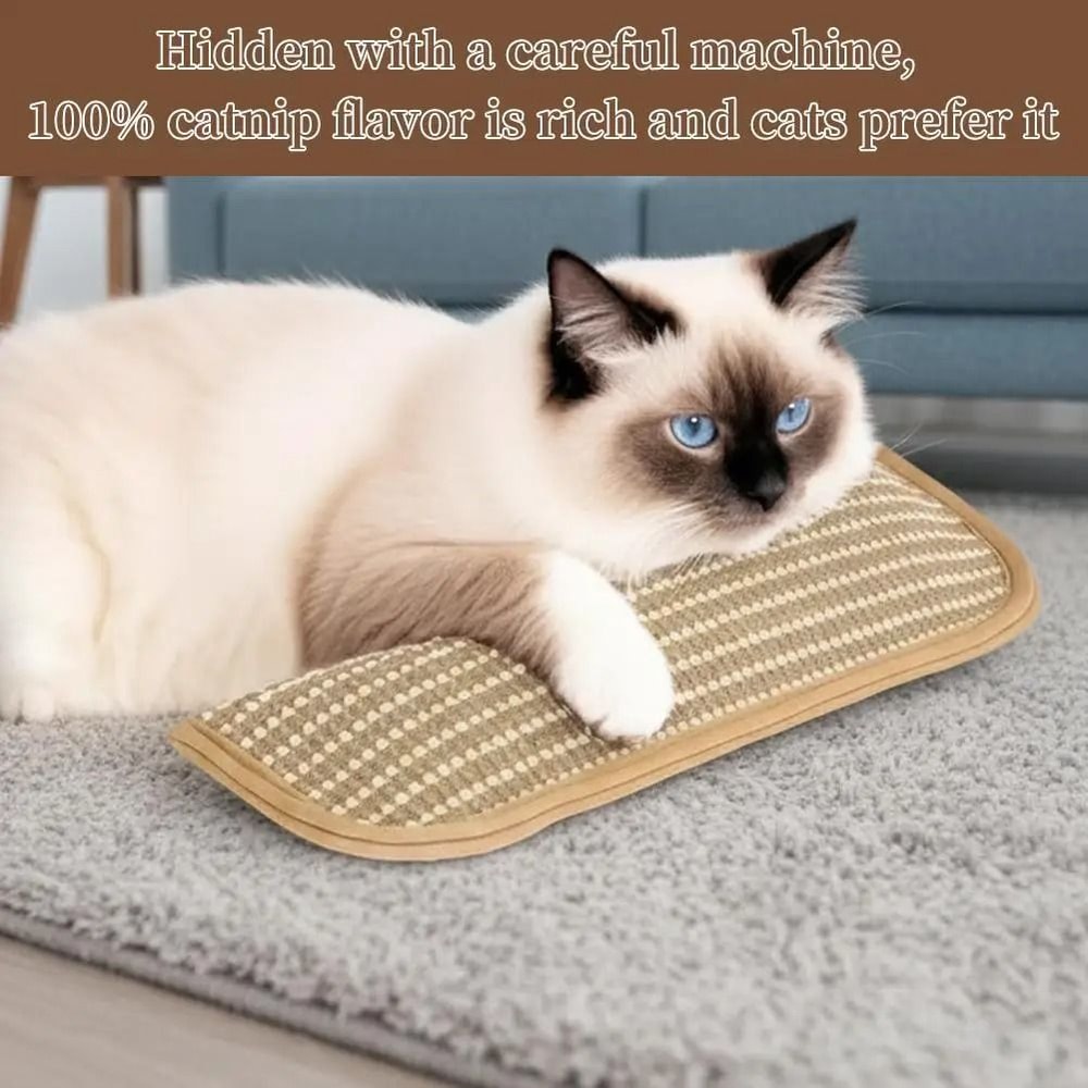 Catnip Chew Pillow Teeth Cleaning Cat Toy 7