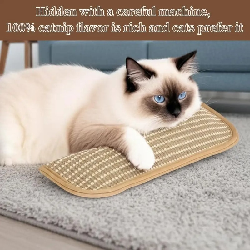 Catnip Chew Pillow Teeth Cleaning Cat Toy 7