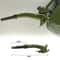 Capped Duckbill Refueling Tube Oil Pouring Device For Clean And Controlled Refills 4
