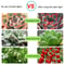 Full Spectrum USB Grow Light Strip LED Plant Light For Indoor Plants And Hydroponics 3