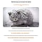 Waterproof Outdoor Cat House Winter Warm Pet Cave Bed Foldable Shelter For Small Dogs And Cats 8