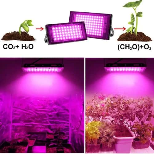 Full Spectrum LED Grow Light Bulb 50W 100W 300W Indoor Plant Grow Lamp for Healthy Growth