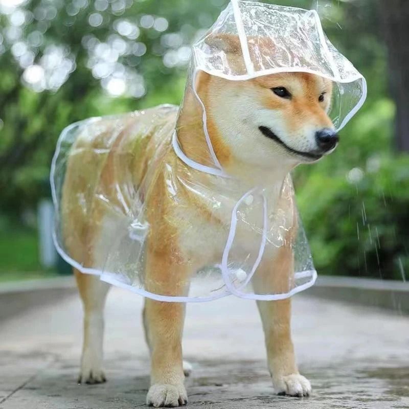 Transparent Waterproof Dog Raincoat Hooded Puppy Rain Jacket For Small Dogs 5